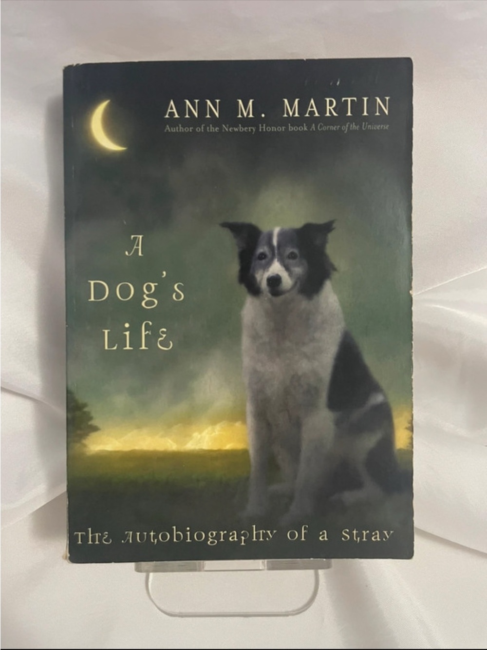 A Dog’s Life